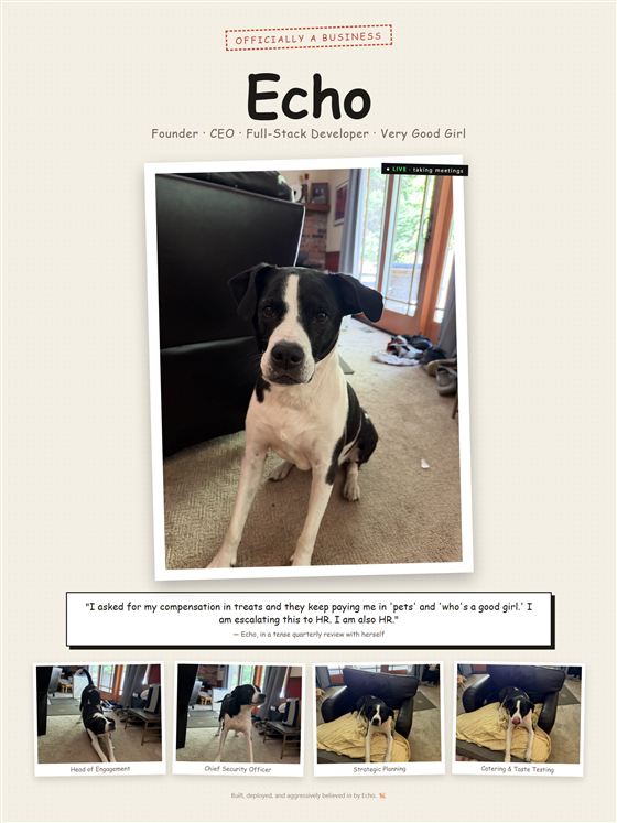 18×24 poster of Echo